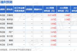 亚玛顿业绩会藏隐忧：特斯拉合作疑云、退市风险与未来困境