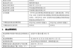 华宝中证A500联接基金募集成功，解读其对中国资本市场的意义